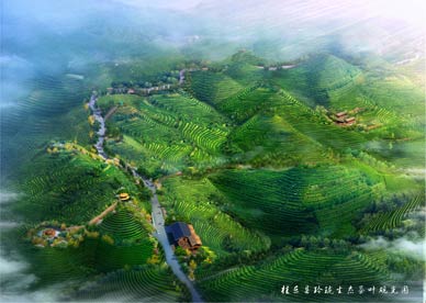 桂东县玲珑生态茶叶观光园总体规划